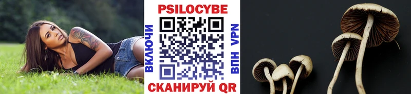 магазин продажи наркотиков  Черногорск  Галлюциногенные грибы мухоморы 