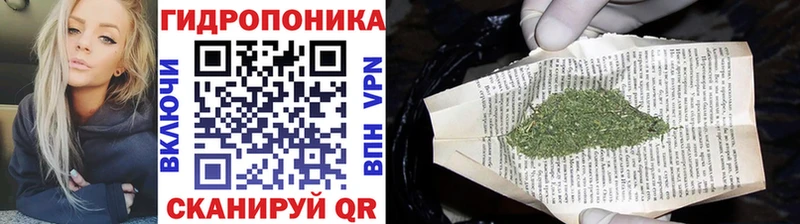 Марихуана конопля Черногорск